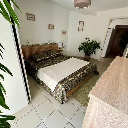 Escapade Campagnarde Dans Ancien Corps De Ferme Daire Avolsheim